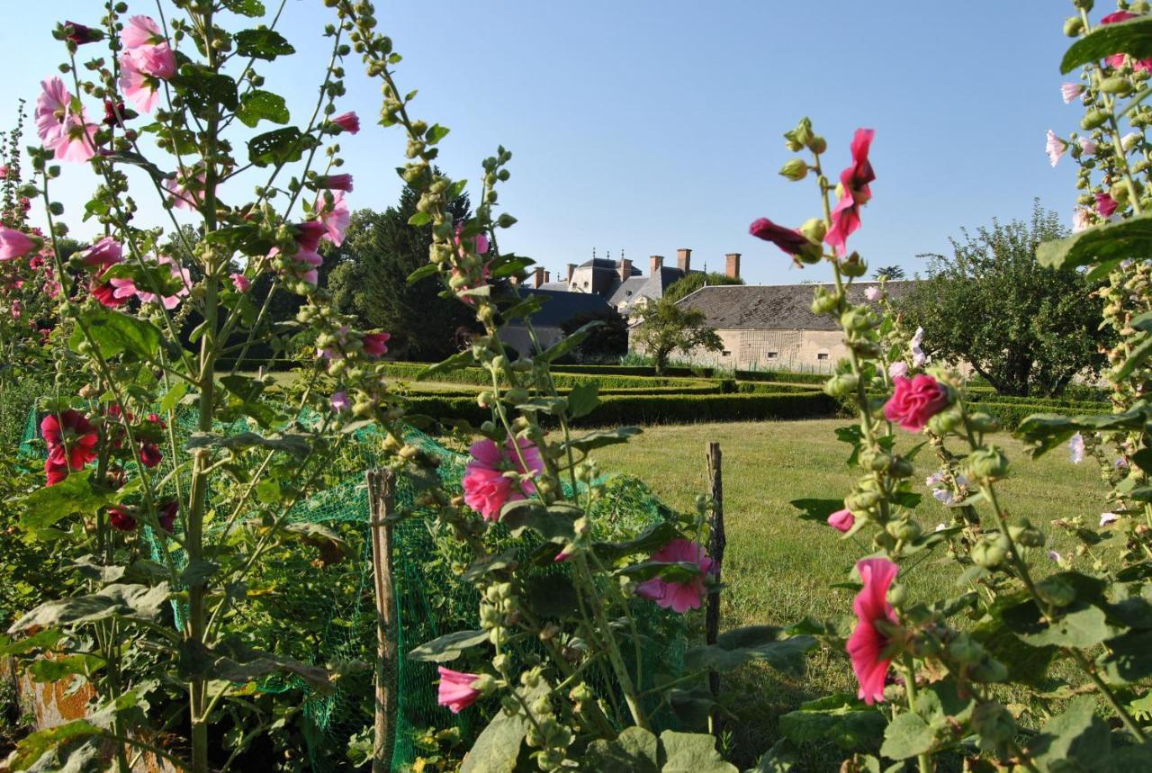 Chateau La Touanne Loire Valley Baccon Εξωτερικό φωτογραφία