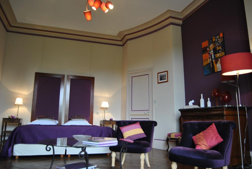 Chateau La Touanne Loire Valley Baccon Εξωτερικό φωτογραφία