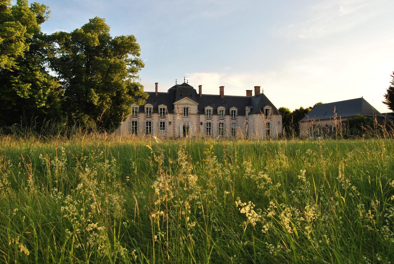 Chateau La Touanne Loire Valley Baccon Εξωτερικό φωτογραφία