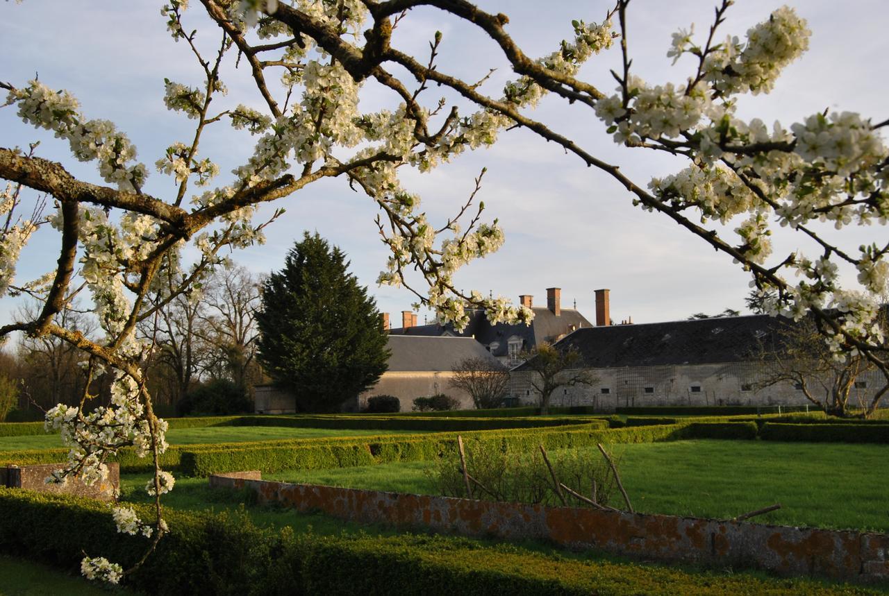 Chateau La Touanne Loire Valley Baccon Εξωτερικό φωτογραφία