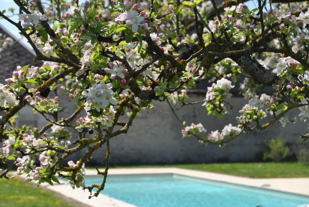 Chateau La Touanne Loire Valley Baccon Εξωτερικό φωτογραφία